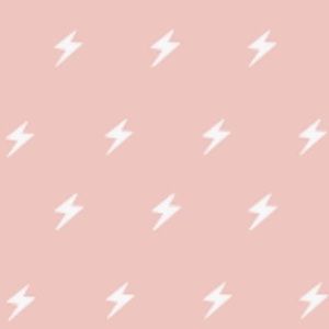 Meet your Posher, Charlotte